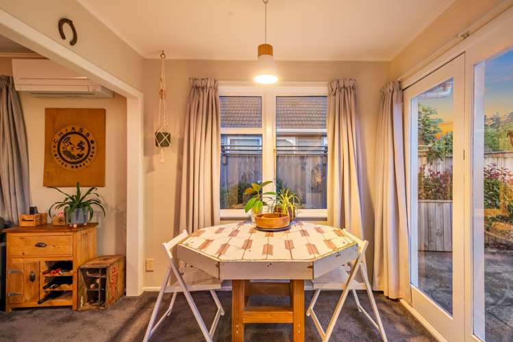 45 Black Beech Street Birchville_10