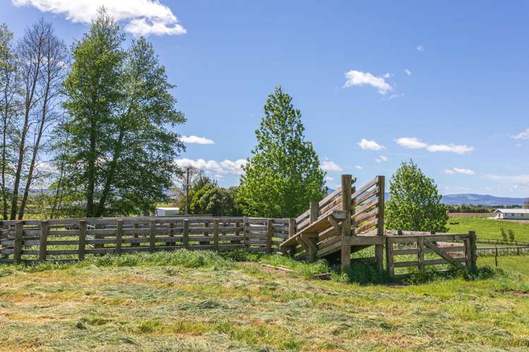 231 Matai Road Matamata_8