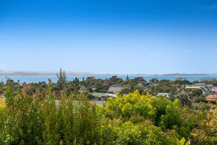 6 Rakino Avenue Manly_44