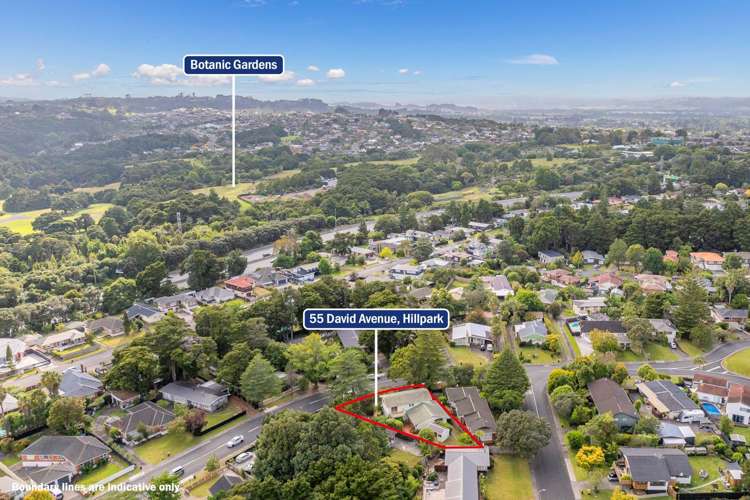 55 David Avenue Hillpark_16