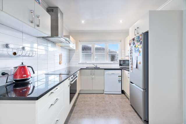 685 Hillsborough Road Mount Roskill_4