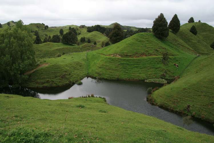 200 Tahora Road Tahora_10