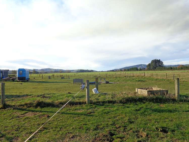 42 Table Hill Road Milton_2