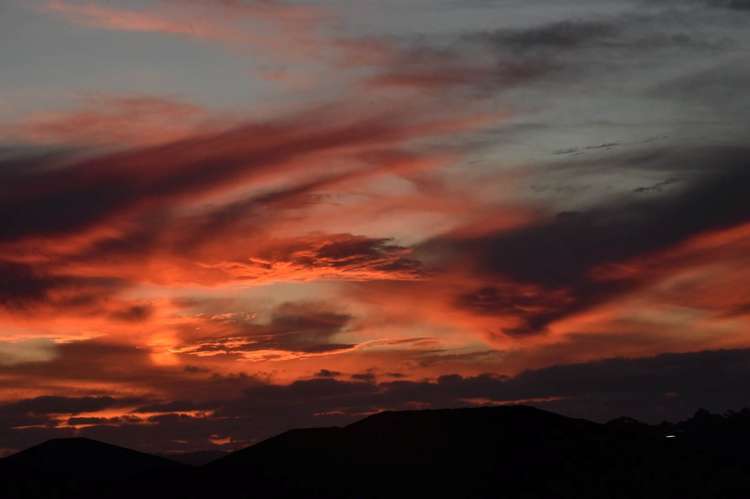 52 Mackay Drive Greenhithe_16