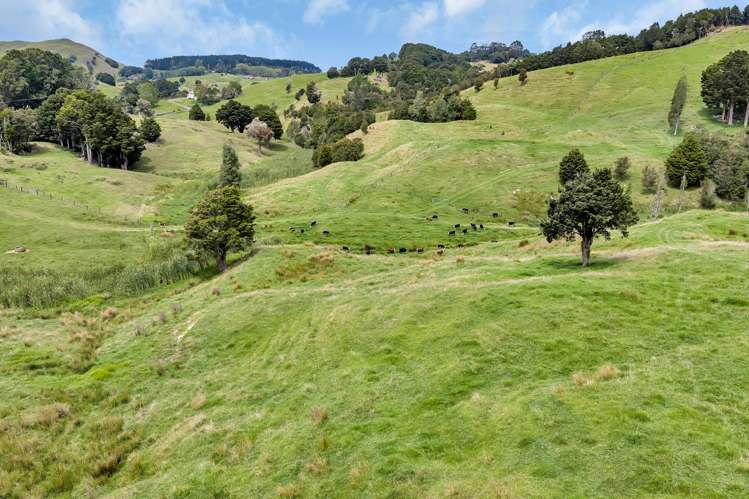 Pipiwai Road Purua_4