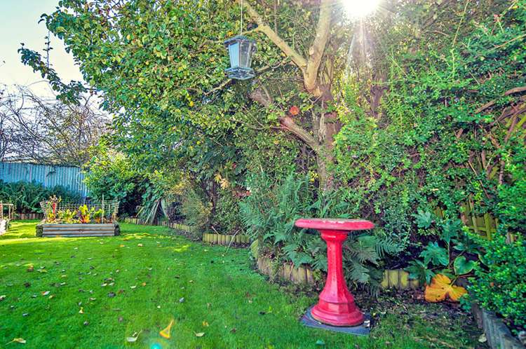 58 Boston Avenue Hornby_9