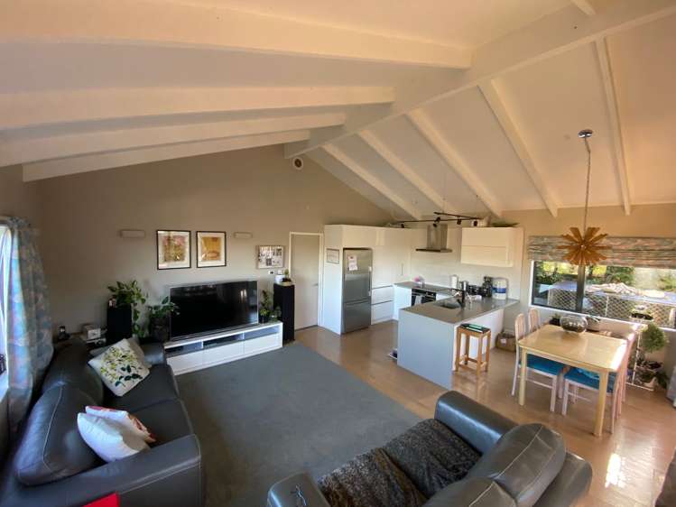 15b Mcilroy Avenue Hillsborough_0