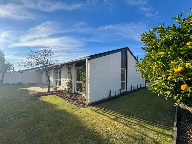 26 Raekura Place Redcliffs_15