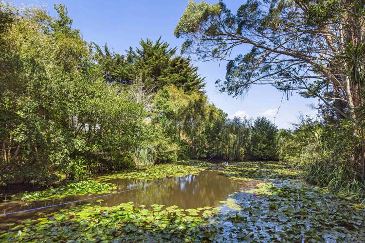 91d Greenslade Road Raglan_35