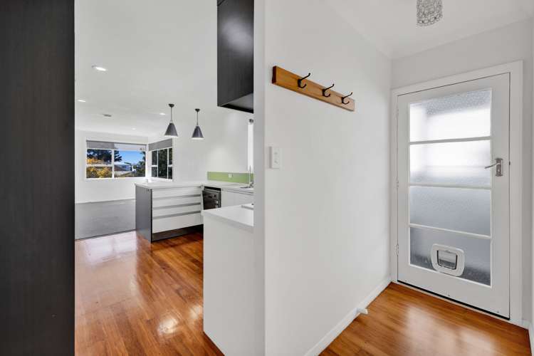 3a Waimea Street Westown_33