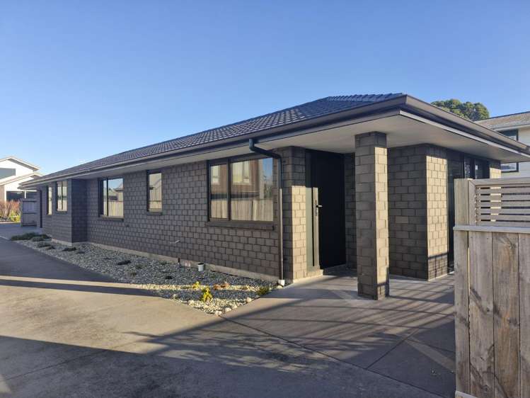146 Lemon Street Strandon_11