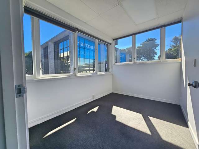 97 Manukau Road Epsom_3