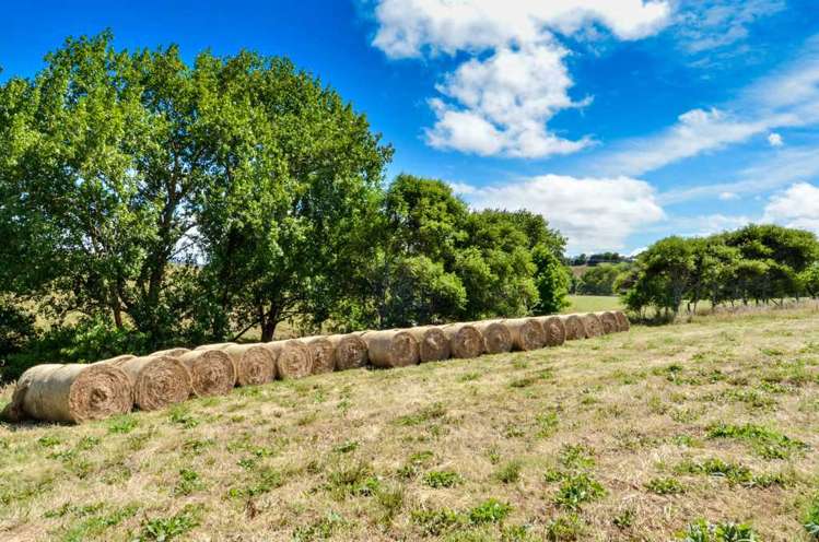 273 Forestry Road Waitoki_52