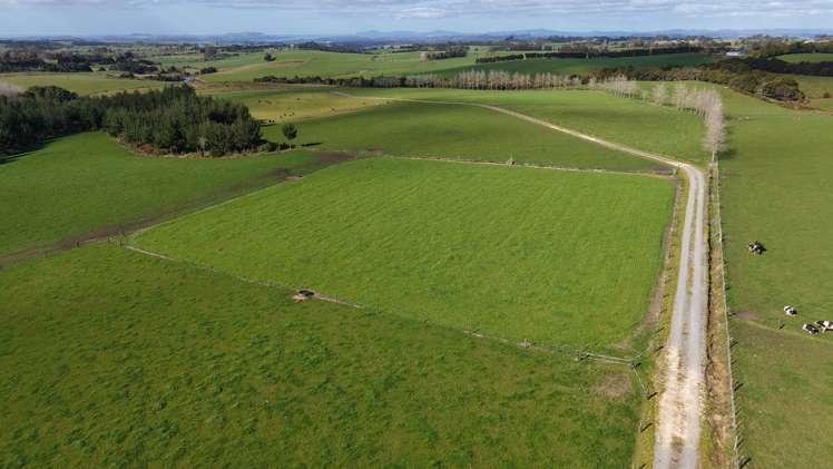 Waiare Road Kerikeri_10