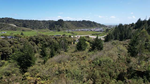 Town Belt East Greymouth_1