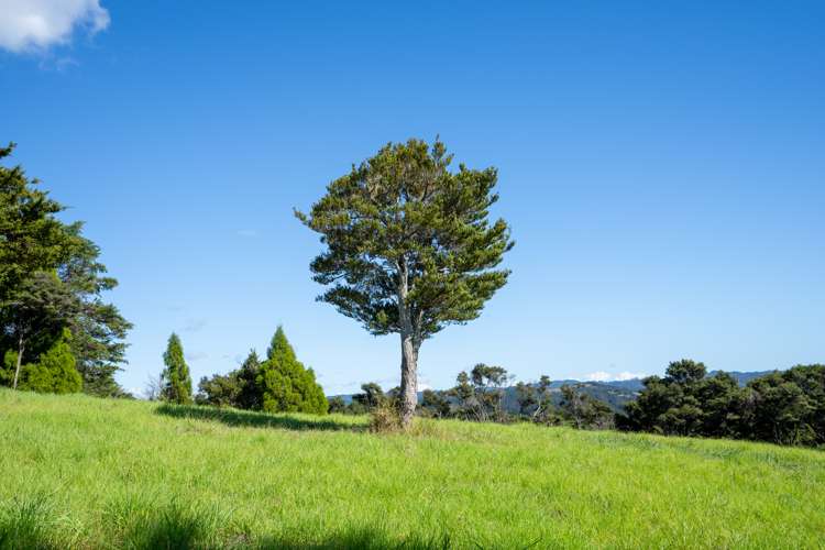 Mangahui Road Whareora_18