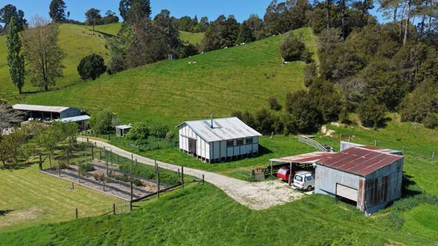 915 Thorpe-Orinoco Road, Dovedale Ngatimoti_3