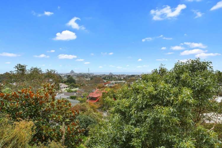 41a Veale Road Frankleigh Park_11