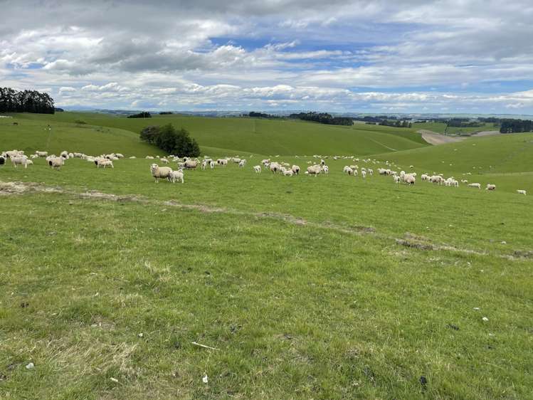 355 Clifton Road Clinton and Surrounds_16