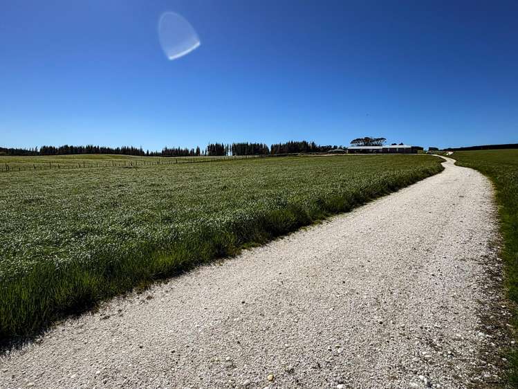 461 Cross Road Pebbly Hill_9