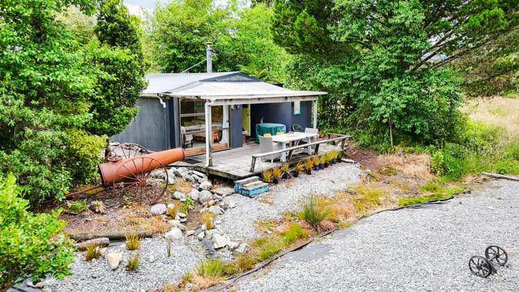 94 Dillmanstown Kumara_1