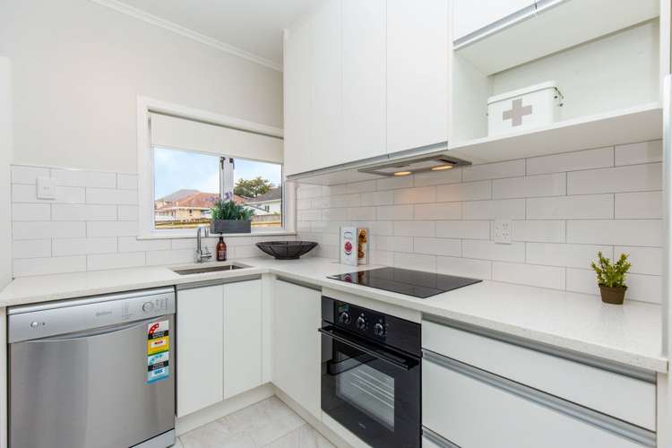 55 Hain Avenue Mangere East_6