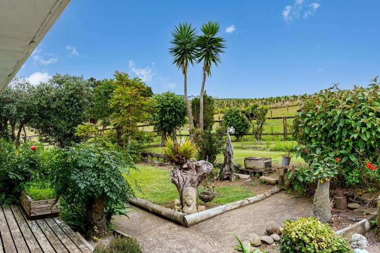 4317 State Highway 12 Aranga_19