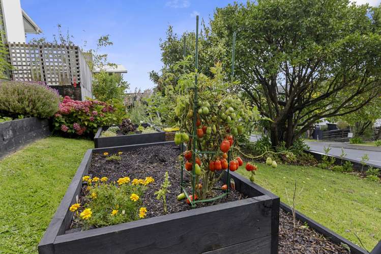 18B Kingsley Street Stokes Valley_20