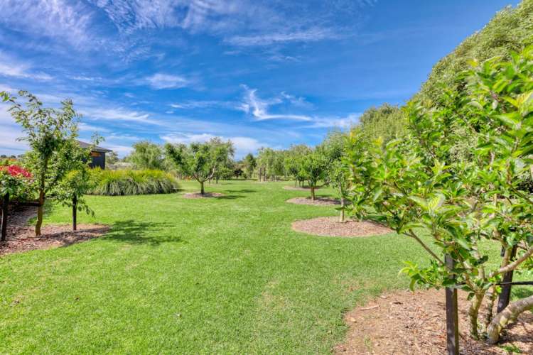 38 Raymond Bull Road Mangawhai_14