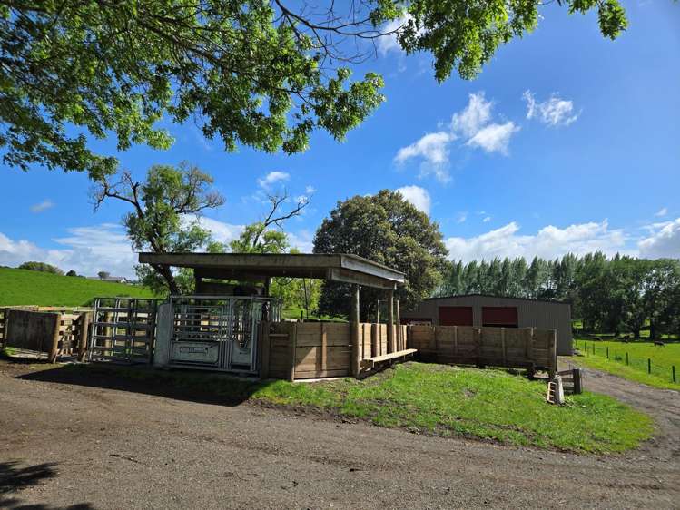 44 Wallace Road Temple View_19