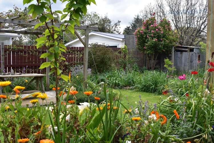 2 Rexwood Street Carterton_18