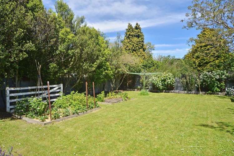 105a East Street Greytown_14