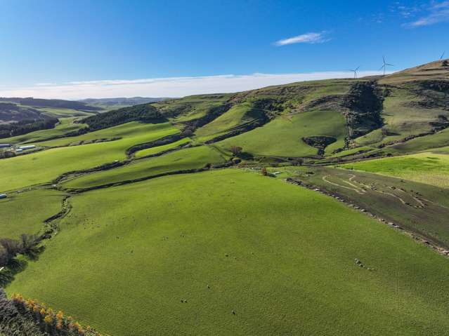 Eastern Southland Sheep, Beef or Forestry