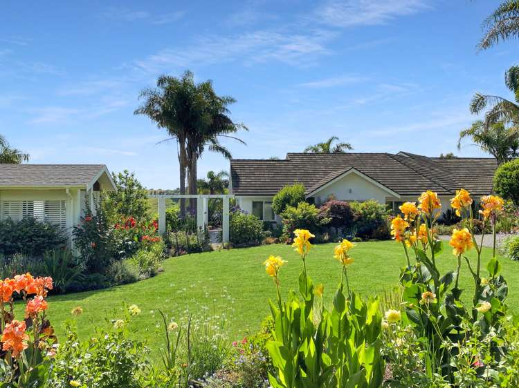 62 River Drive Kerikeri_1