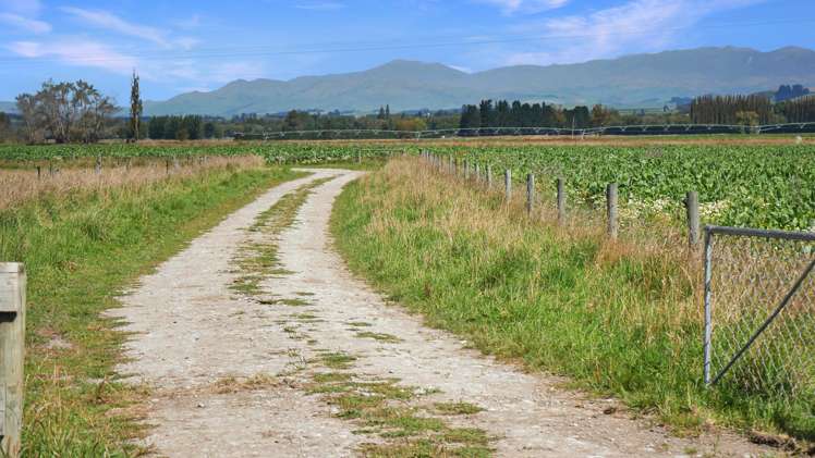 311 Hamilton Road Fairlie_20