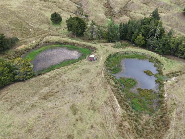 290 Hillcrest Road Waiotira_6