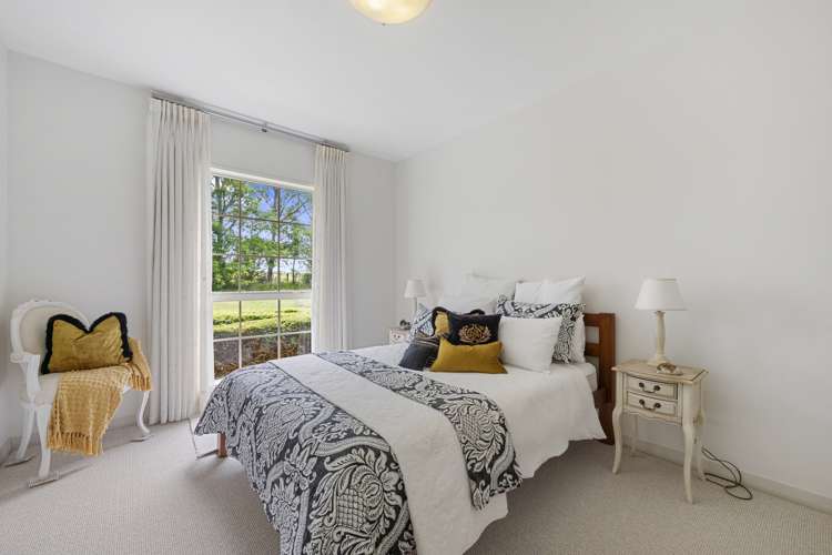 295 Postman Road Dairy Flat_25