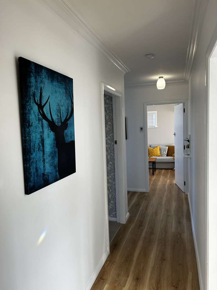 7 Roosevelt Street Levin_12