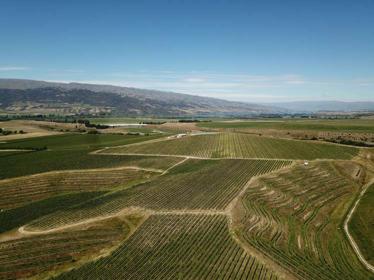 Luggate-Cromwell Road Queensberry_4