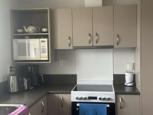 33 Melvin St 11154_4