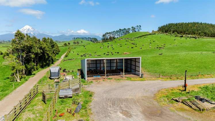 298 King Road Inglewood_12