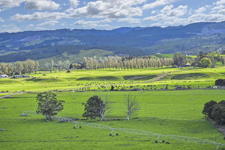 500 Willowford Road Waiwhare_34