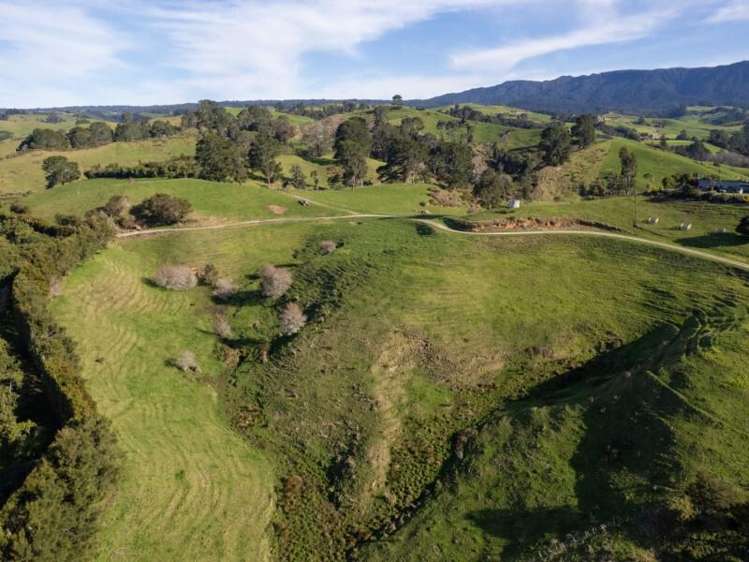 229 Walford Road Katikati_17