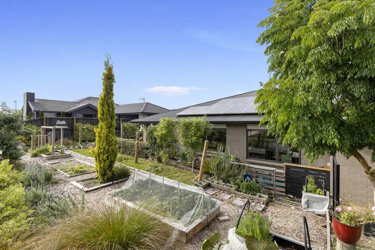 45 Blunt Road Te Kauwhata_22