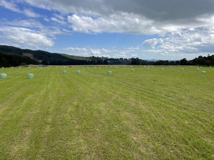 925 Main South Road Rangiwahia_16