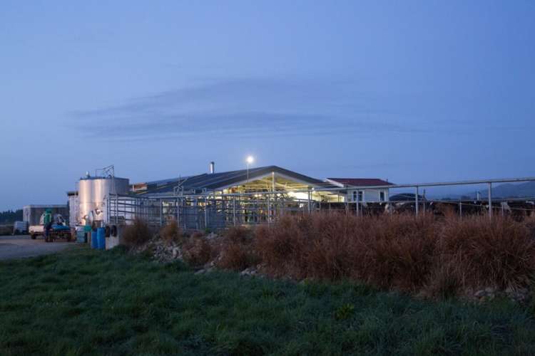 793 Peel Forest Road Mesopotamia_9