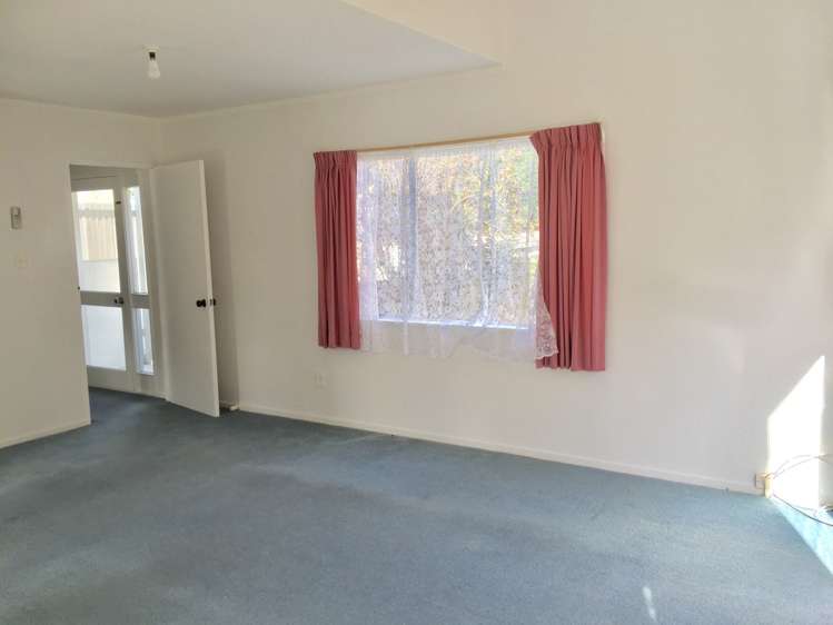 91 Tripoli Road Panmure_0