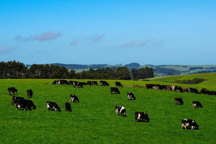 696 Jacks Hill Road Waimahaka_8