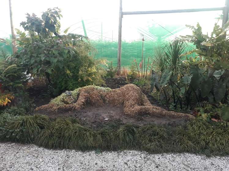 170a Kerikeri Inlet Kerikeri_17