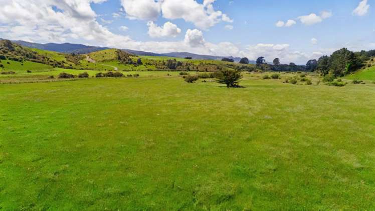 Mangaraupiu Road Eketahuna_5